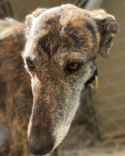 WhatsApp Image 2026-02-20 at 17.59.17 (3)