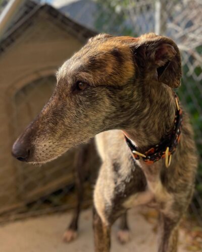 WhatsApp Image 2026-02-20 at 17.59.17