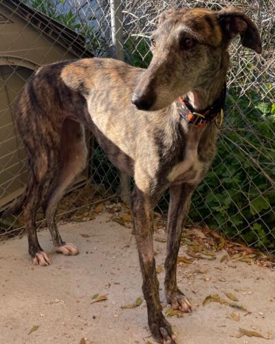 WhatsApp Image 2026-02-20 at 17.59.18 (1)