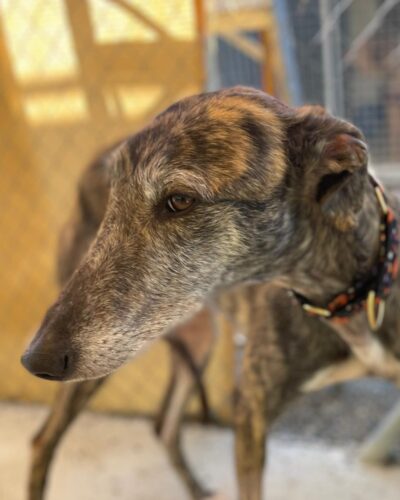 WhatsApp Image 2026-02-20 at 17.59.18