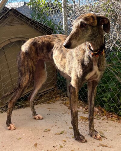 WhatsApp Image 2026-02-20 at 17.59.19 (1)