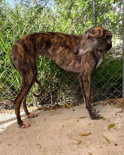 WhatsApp Image 2026-02-20 at 17.59.19 (4)