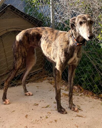 WhatsApp Image 2026-02-20 at 17.59.19