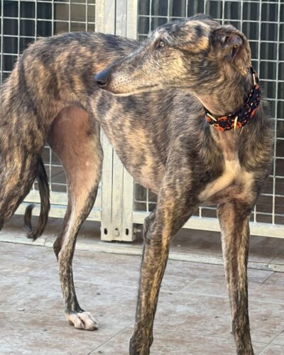 WhatsApp Image 2026-02-20 at 17.59.20 (2)