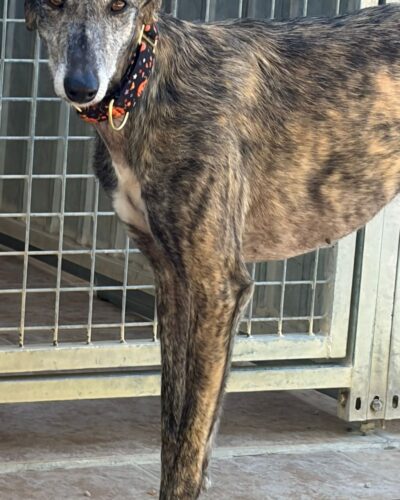 WhatsApp Image 2026-02-20 at 17.59.20 (3)