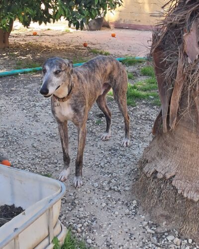 WhatsApp Image 2026-03-30 at 01.24.30 (1)