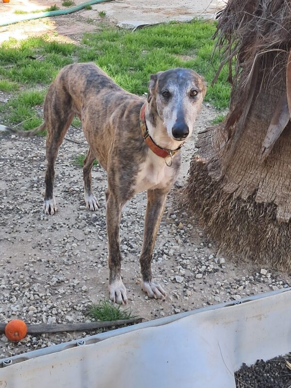 WhatsApp Image 2026-03-30 at 01.24.31 (3)