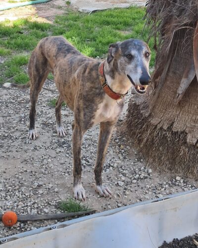 WhatsApp Image 2026-03-30 at 01.24.31