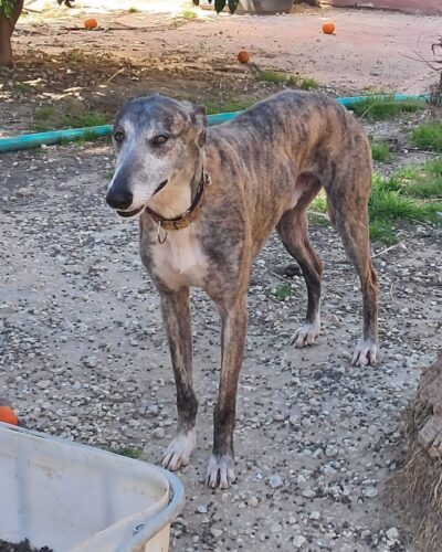 WhatsApp Image 2026-03-30 at 01.36.48