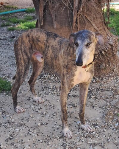 WhatsApp Image 2026-03-30 at 01.36.49 (1)