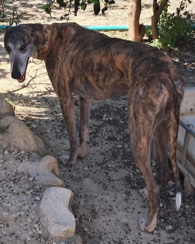 WhatsApp Image 2026-03-30 at 01.36.49 (2)