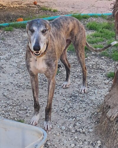 WhatsApp Image 2026-03-30 at 01.36.49