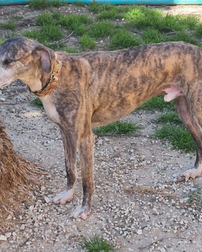 WhatsApp Image 2026-03-30 at 01.36.50