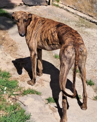 WhatsApp Image 2026-03-30 at 01.36.51 (2)