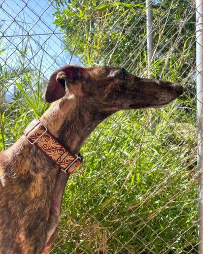 WhatsApp Image 2026-03-04 at 22.59.23 (10)