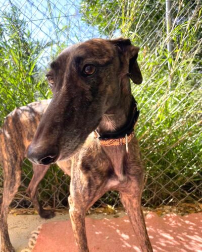 WhatsApp Image 2026-03-04 at 22.59.23 (11)