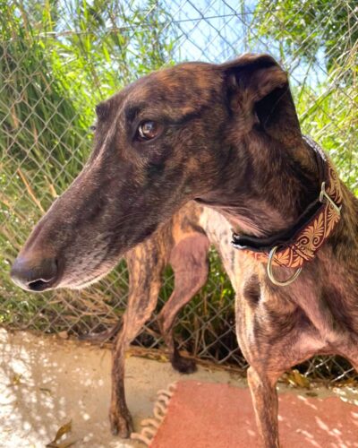 WhatsApp Image 2026-03-04 at 22.59.23 (13)