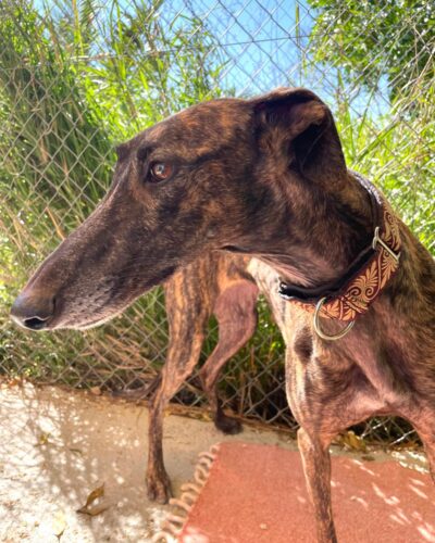 WhatsApp Image 2026-03-04 at 22.59.23 (14)