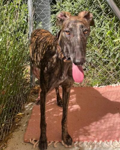 WhatsApp Image 2026-03-04 at 22.59.23 (6)