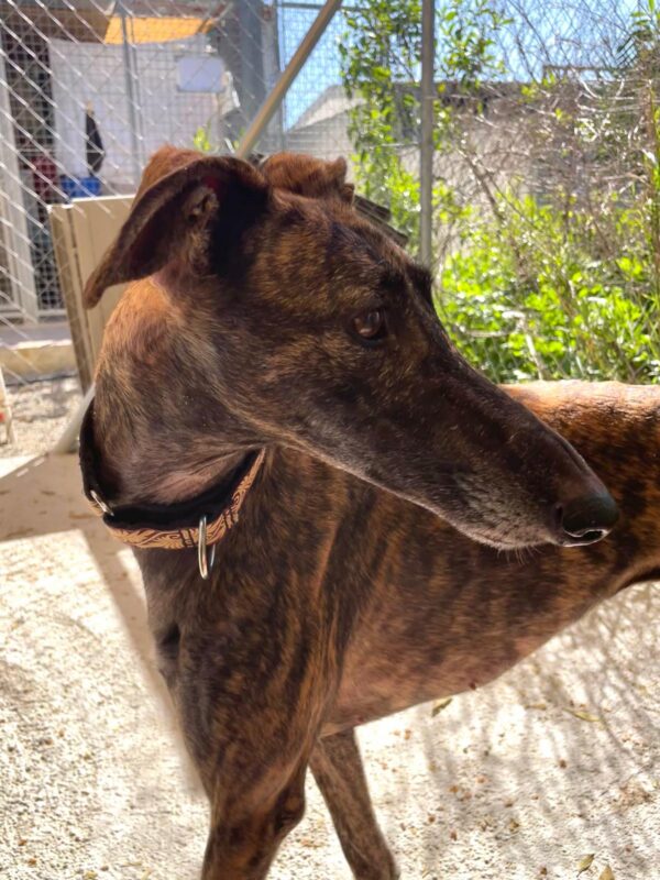 WhatsApp Image 2026-03-04 at 22.59.23