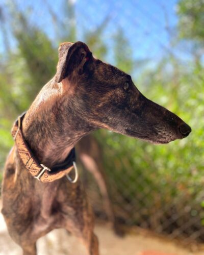 WhatsApp Image 2026-03-04 at 22.59.23 (7)