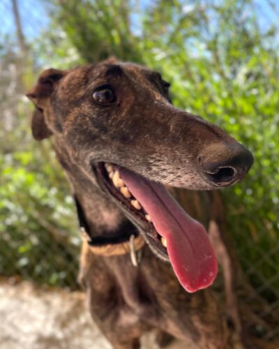 WhatsApp Image 2026-03-04 at 22.59.23 (8)