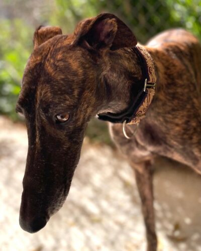 WhatsApp Image 2026-03-04 at 22.59.23 (9)