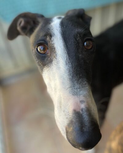 WhatsApp Image 2026-03-04 at 22.59.59 (1)