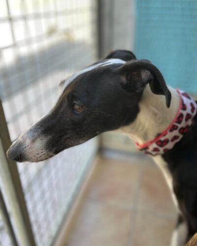 WhatsApp Image 2026-03-04 at 22.59.59