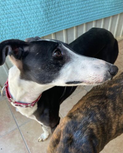 WhatsApp Image 2026-03-04 at 23.00.00