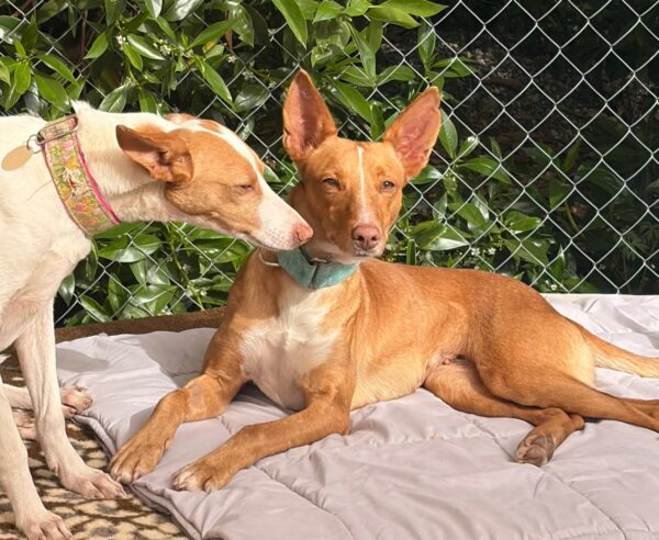 WhatsApp Image 2026-03-04 at 23.02.26 (2)