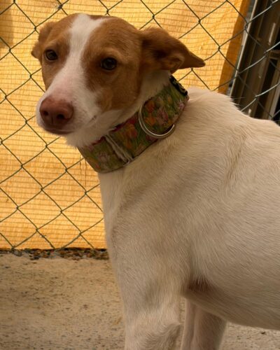 WhatsApp Image 2026-03-04 at 23.02.26 (3)