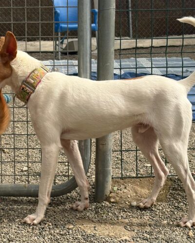 WhatsApp Image 2026-03-04 at 23.02.26 (4)