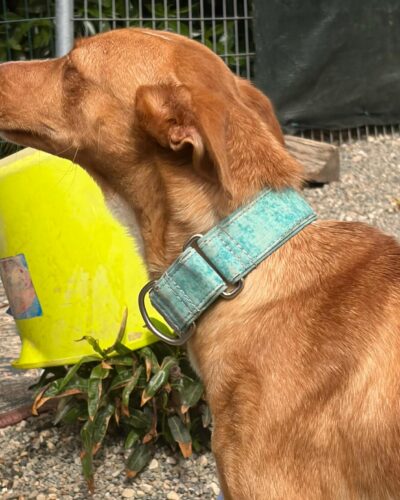 WhatsApp Image 2026-03-04 at 23.02.26 (5)