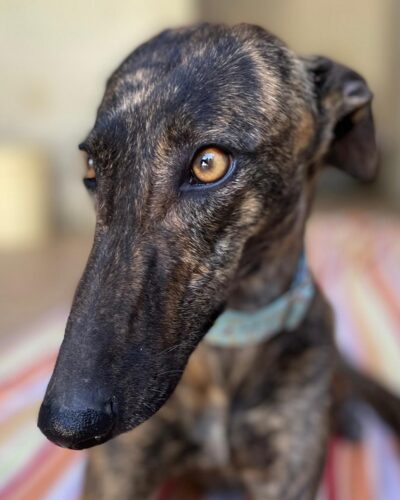 WhatsApp Image 2026-03-04 at 23.11.44 (3)