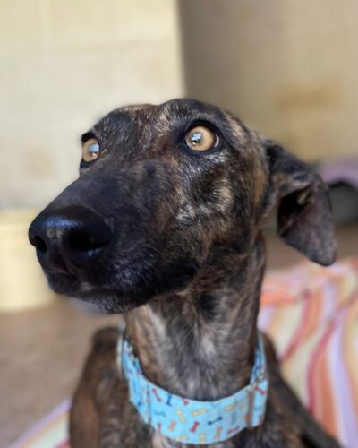 WhatsApp Image 2026-03-04 at 23.11.44 (6)