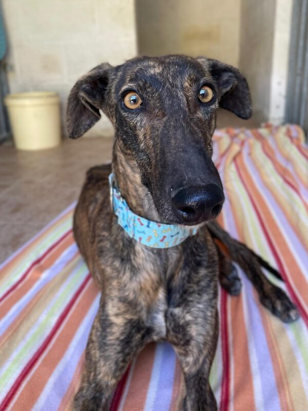 WhatsApp Image 2026-03-04 at 23.11.45