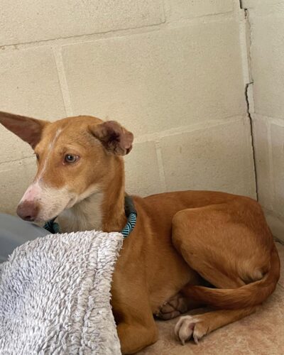 WhatsApp Image 2026-03-21 at 20.11.18 (1)