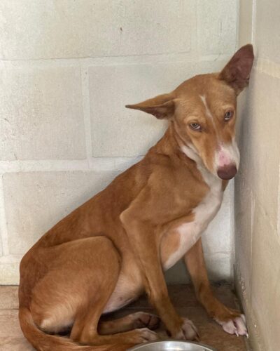 WhatsApp Image 2026-03-21 at 20.11.18 (2)