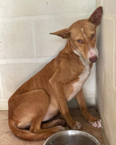 WhatsApp Image 2026-03-21 at 20.11.18 (3)