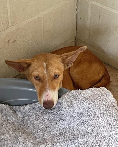 WhatsApp Image 2026-03-21 at 20.11.18 (4)