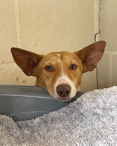 WhatsApp Image 2026-03-21 at 20.11.18