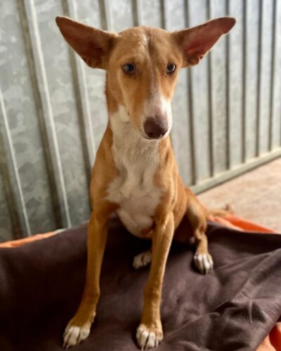 WhatsApp Image 2026-03-21 at 20.11.18 (5)