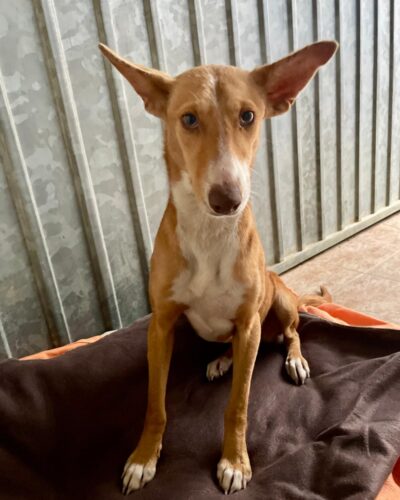 WhatsApp Image 2026-03-21 at 20.11.18 (6)