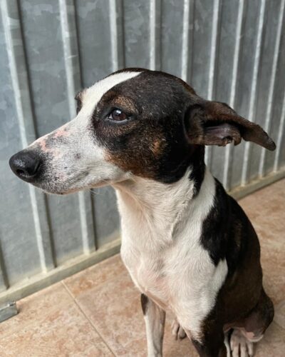 WhatsApp Image 2026-03-21 at 20.11.50