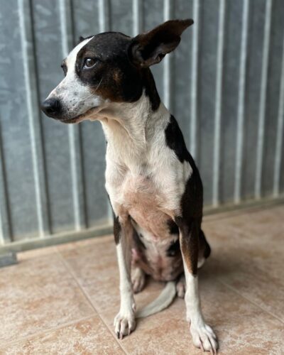 WhatsApp Image 2026-03-21 at 20.11.51 (1)