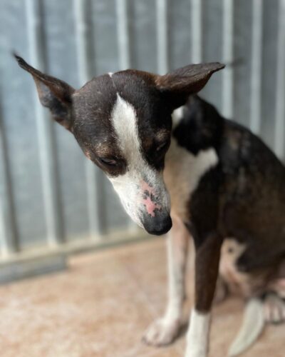 WhatsApp Image 2026-03-21 at 20.11.51 (2)