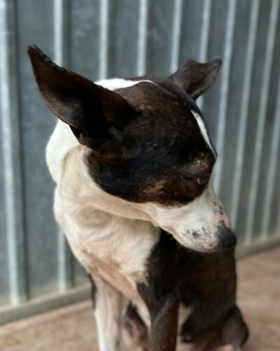 WhatsApp Image 2026-03-21 at 20.11.51 (3)