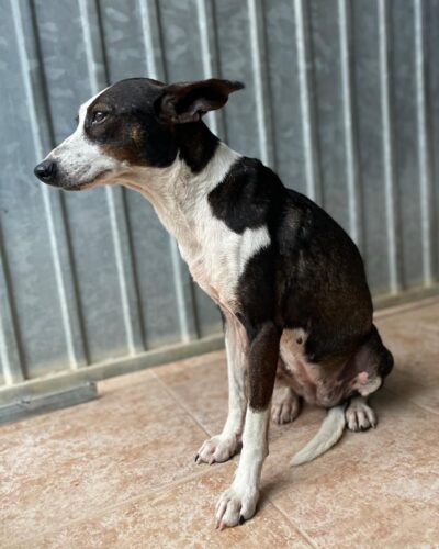 WhatsApp Image 2026-03-21 at 20.11.51