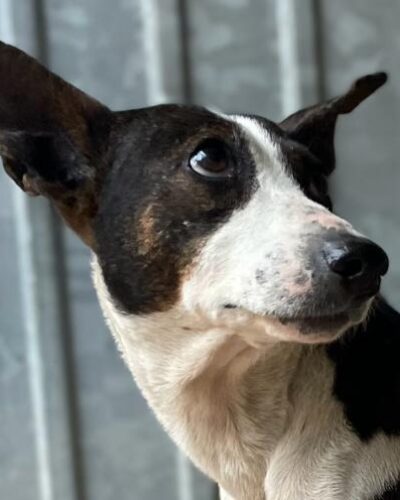 WhatsApp Image 2026-03-21 at 20.11.52 (1)